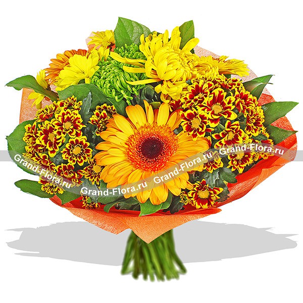 Торжество экспрессии - букет из разноцветных хризантем и гербер