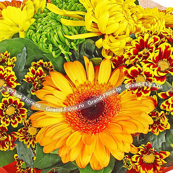 Торжество экспрессии - букет из разноцветных хризантем и гербер